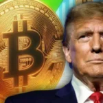 Is the Crypto Ecosystem Strengthening Because of Donald Trump’s Win?